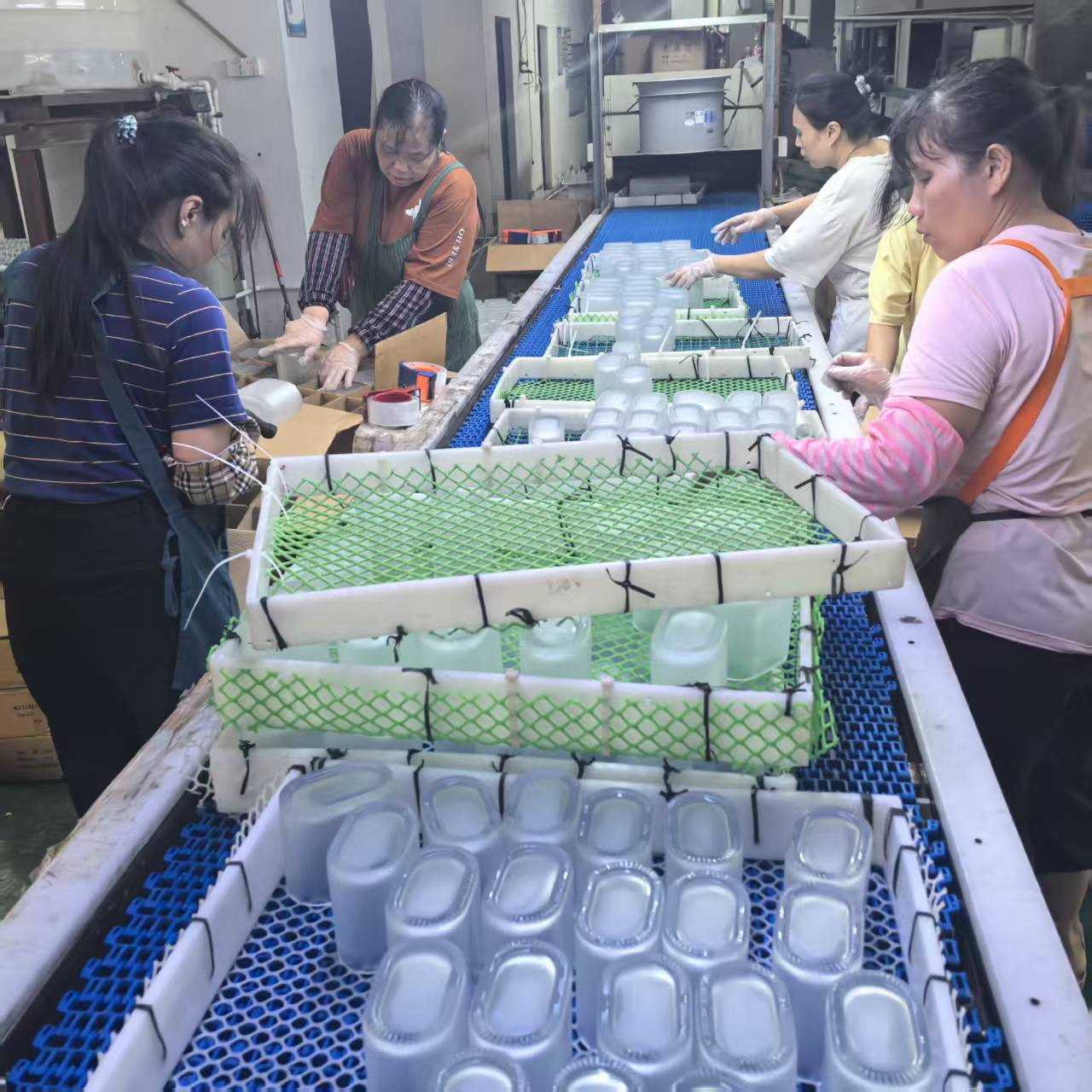 Workers arranging glass containers beside a blue conveyor and mesh trays
